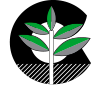 Tipología de plantas | Certiplant